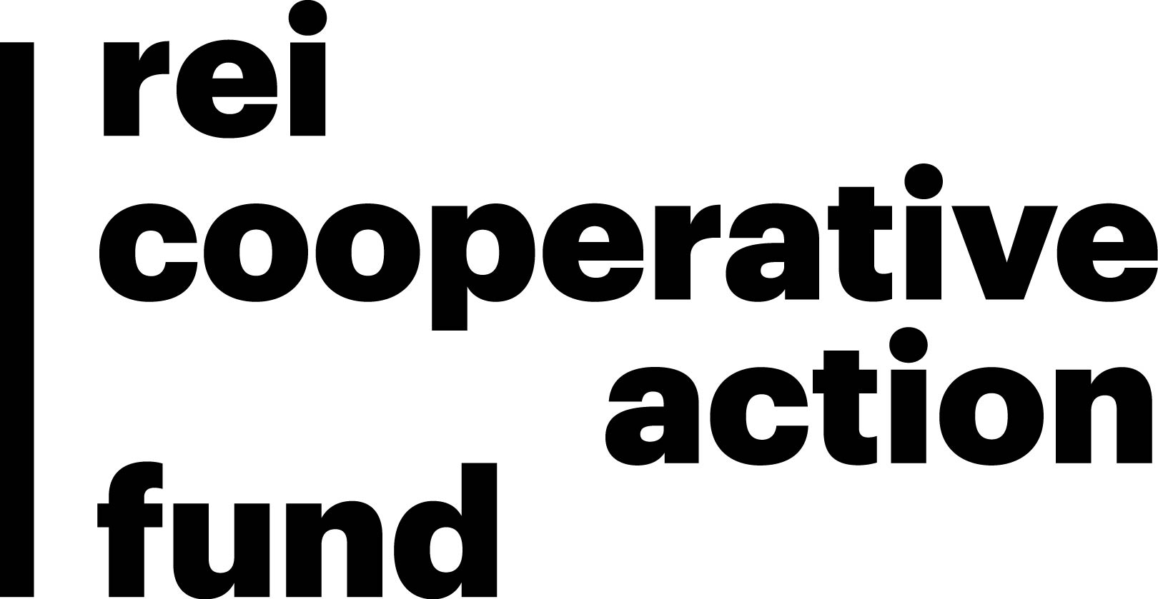 rei cooperative action fund